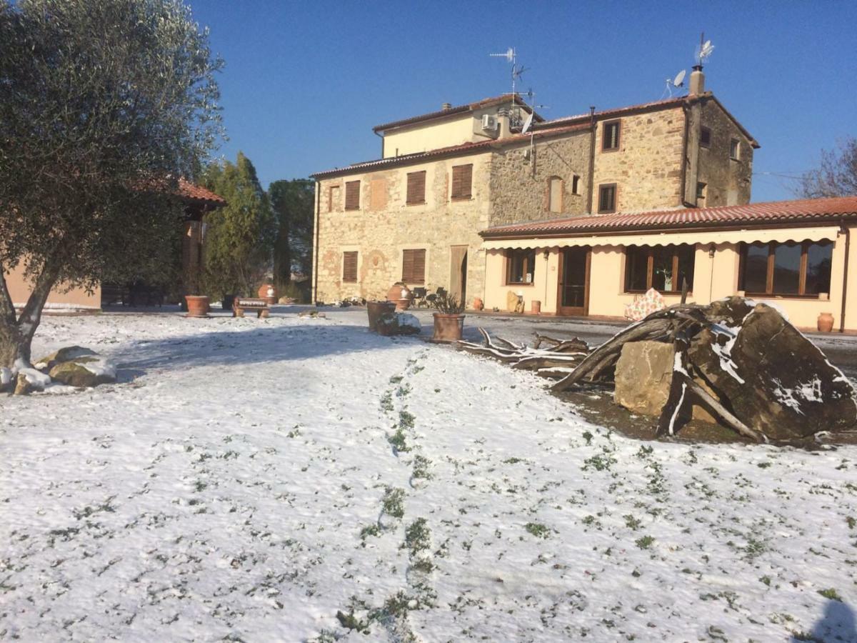 Agriturismo Diaccialone Villa Istia dʼOmbrone Eksteriør billede