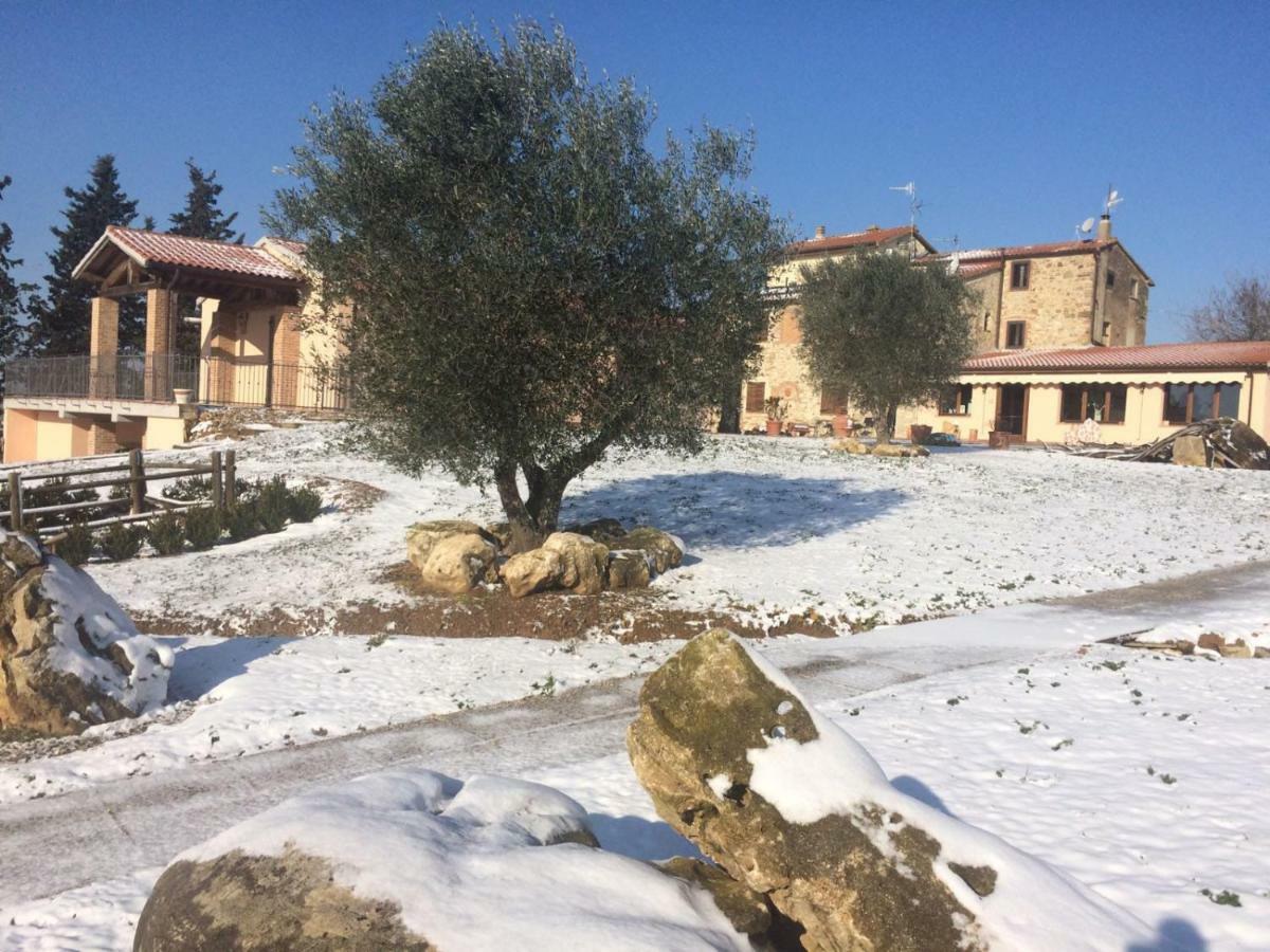 Agriturismo Diaccialone Villa Istia dʼOmbrone Eksteriør billede