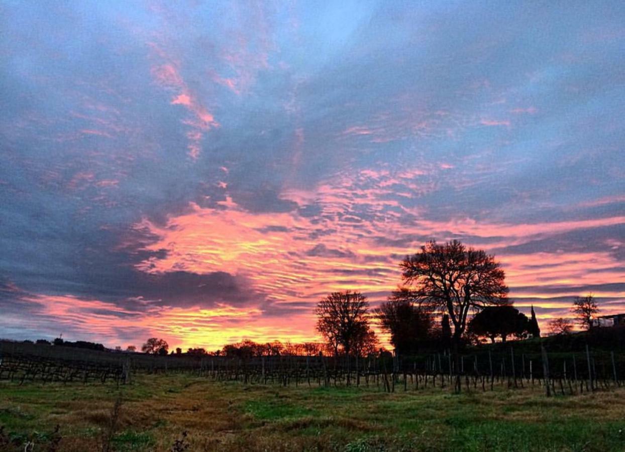 Agriturismo Diaccialone Villa Istia dʼOmbrone Eksteriør billede